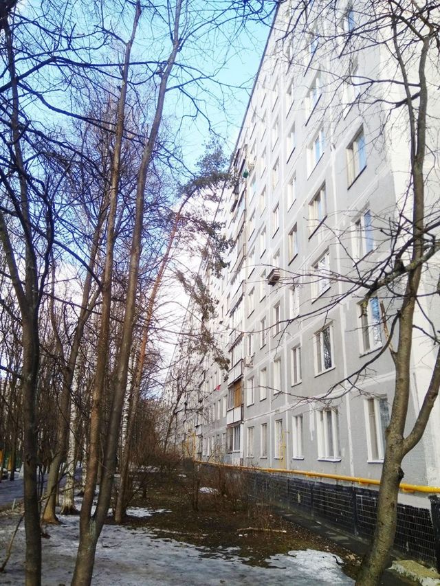 Панорама дома