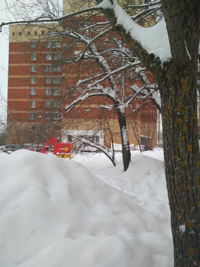 Панорама дома