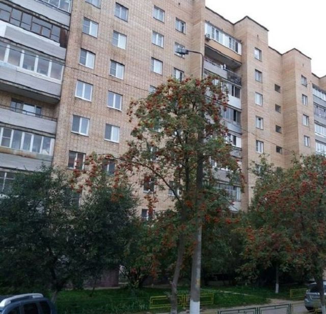 Панорама дома