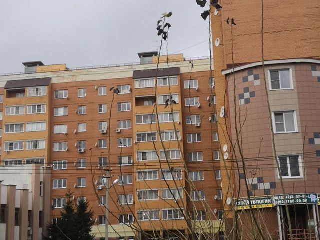 Панорама дома