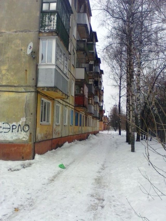 Панорама дома