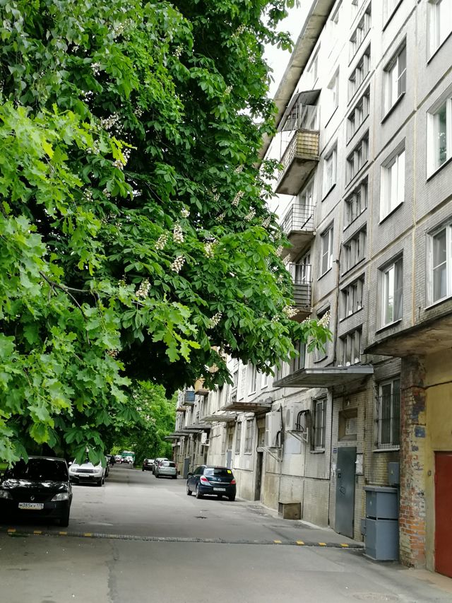 Панорама дома