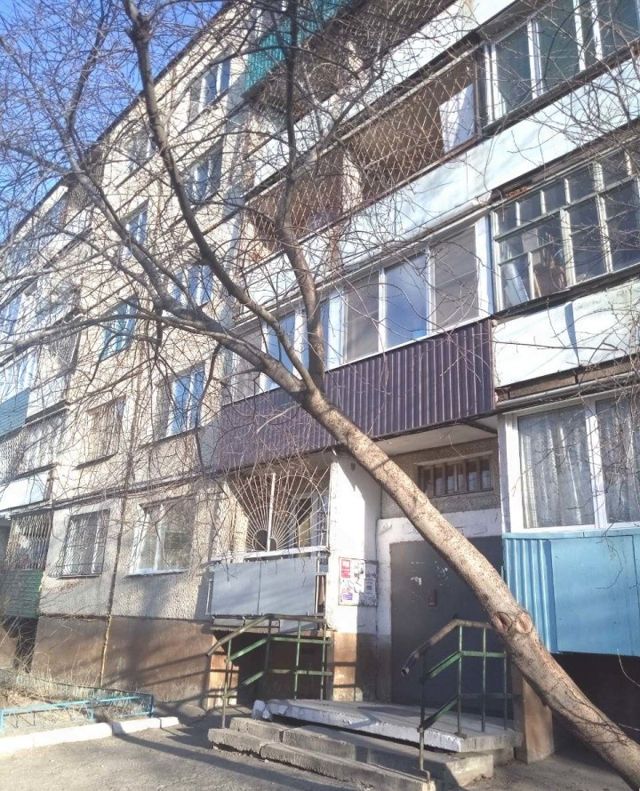 Панорама дома