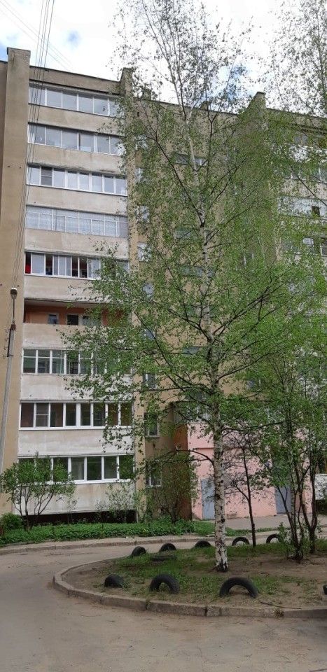 Панорама дома