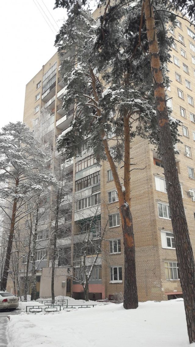 Панорама дома