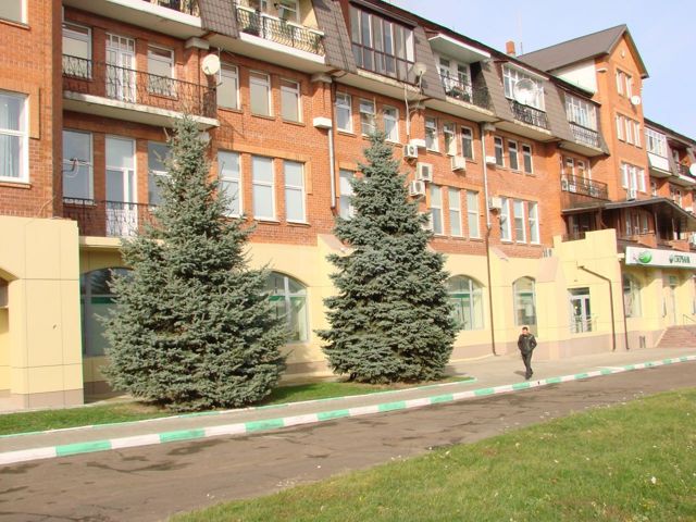 Панорама дома