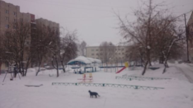 Territory