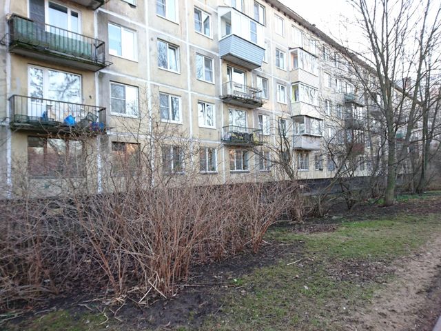 Панорама дома