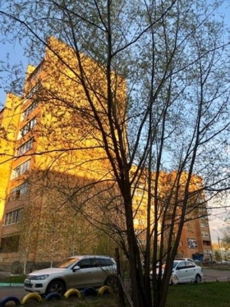 Панорама дома