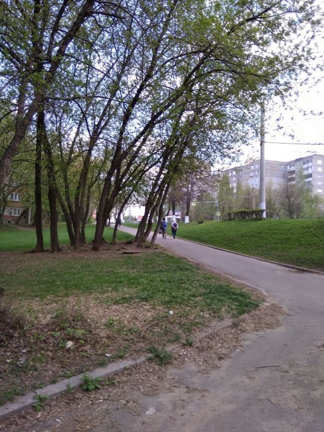 Territory