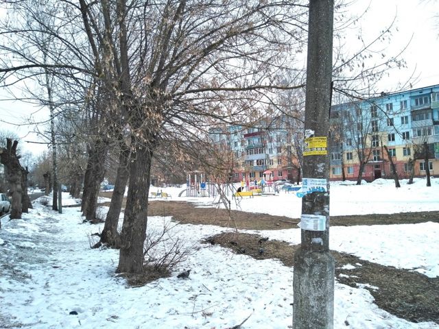 Territory