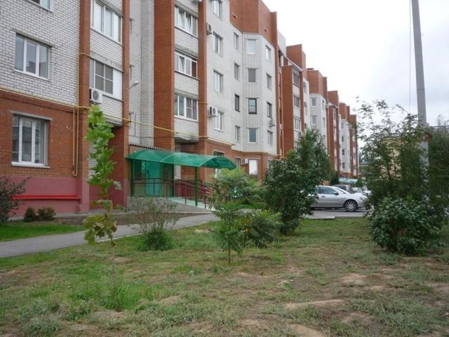 Панорама дома