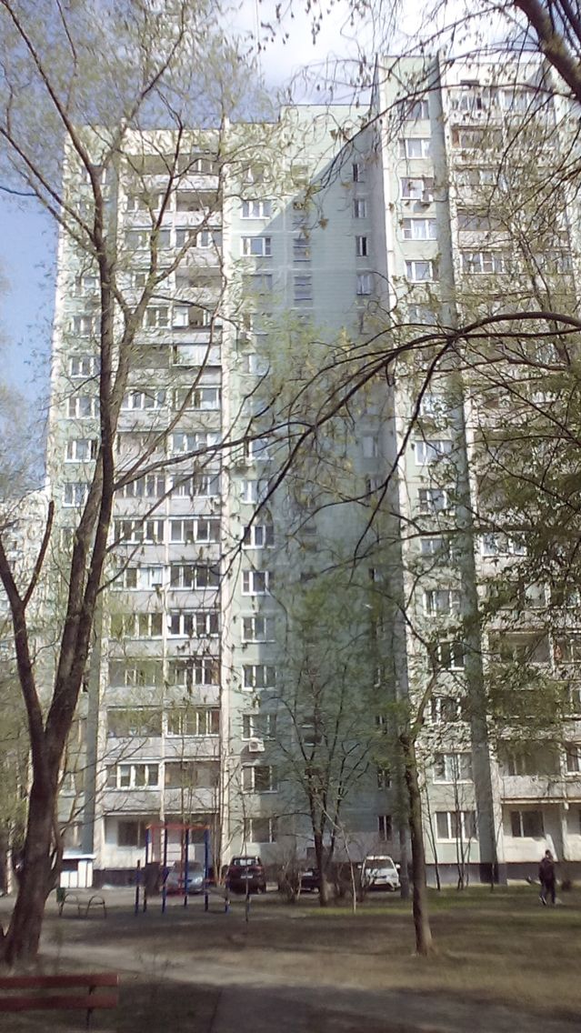 Панорама дома