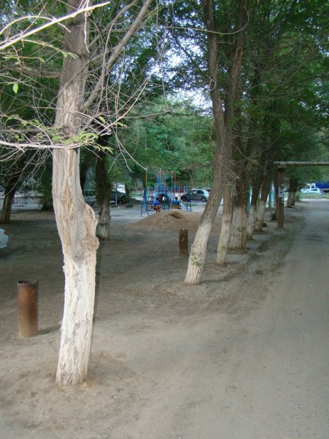 Territory