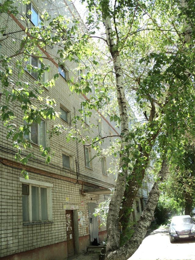 Панорама дома