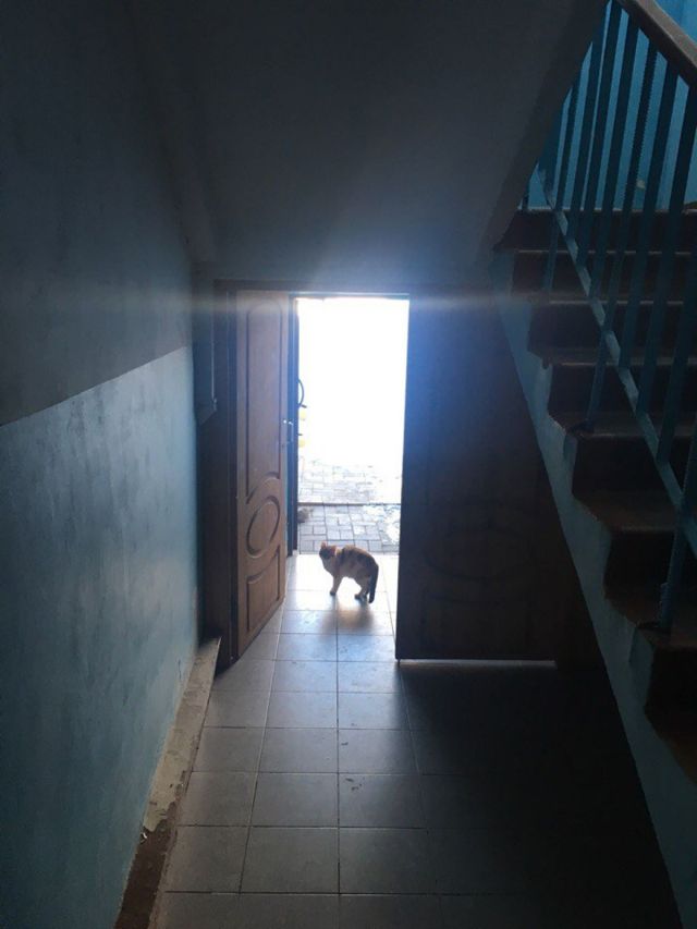EntranceInside
