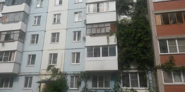 Панорама дома