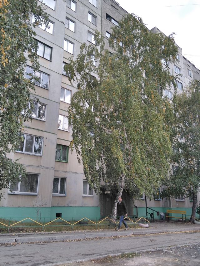 Панорама дома