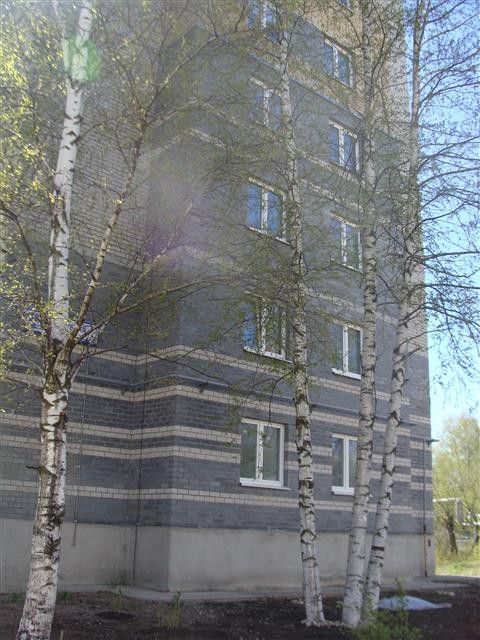 Панорама дома