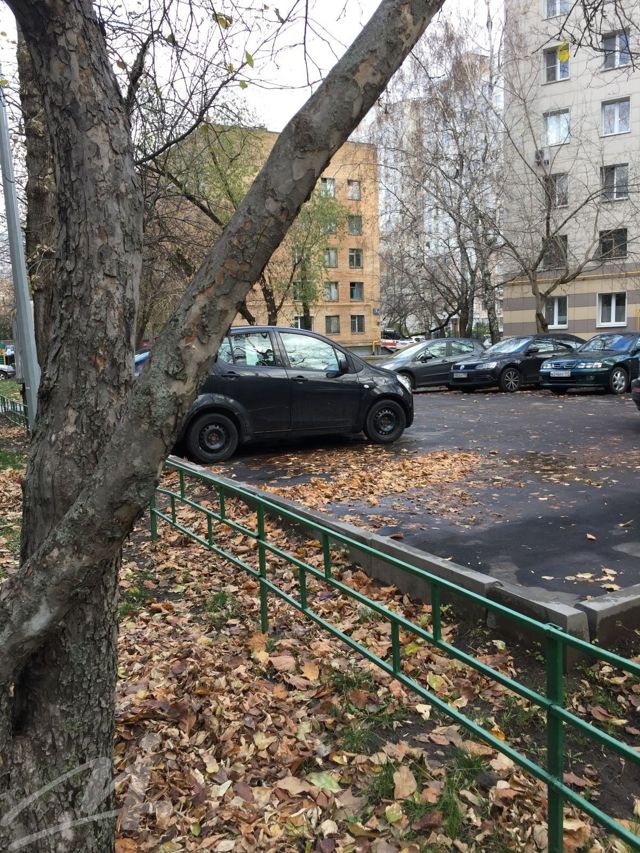 Territory