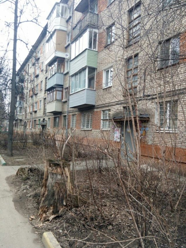 Панорама дома