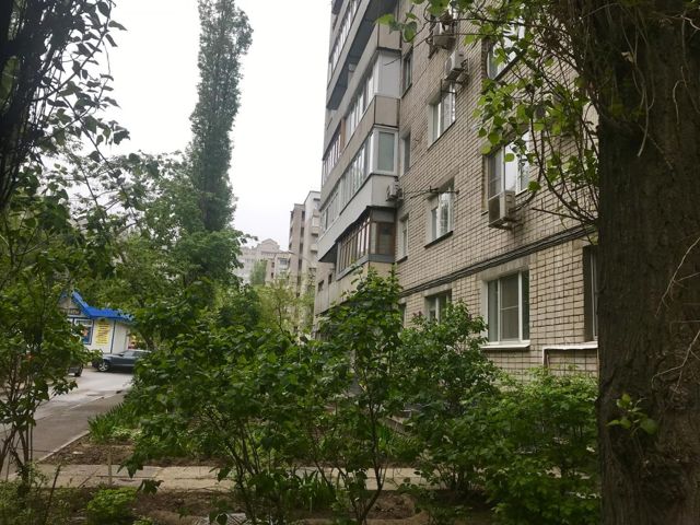 Панорама дома