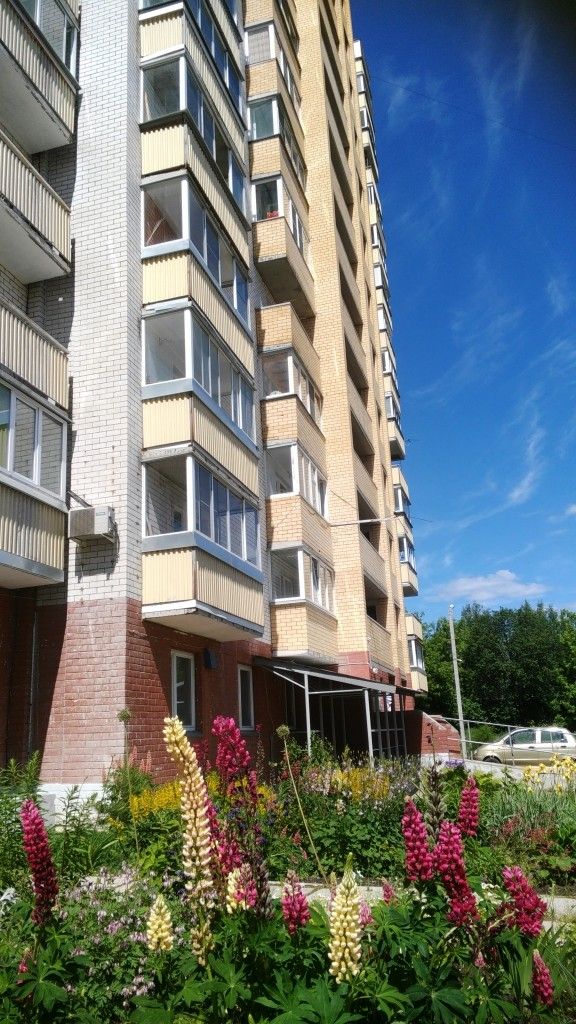 Панорама дома