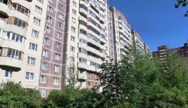 камышовая дом 21 (90) фото