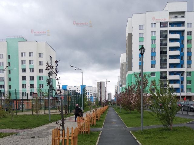 Territory