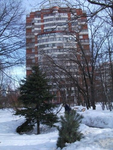 Панорама дома
