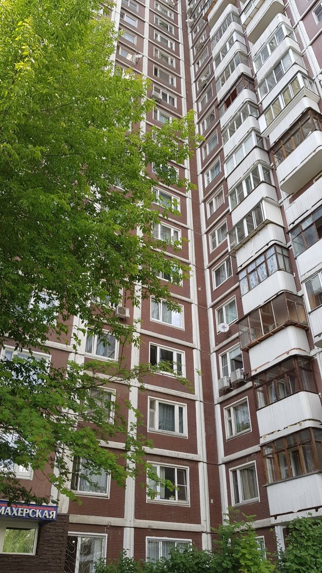 Панорама дома
