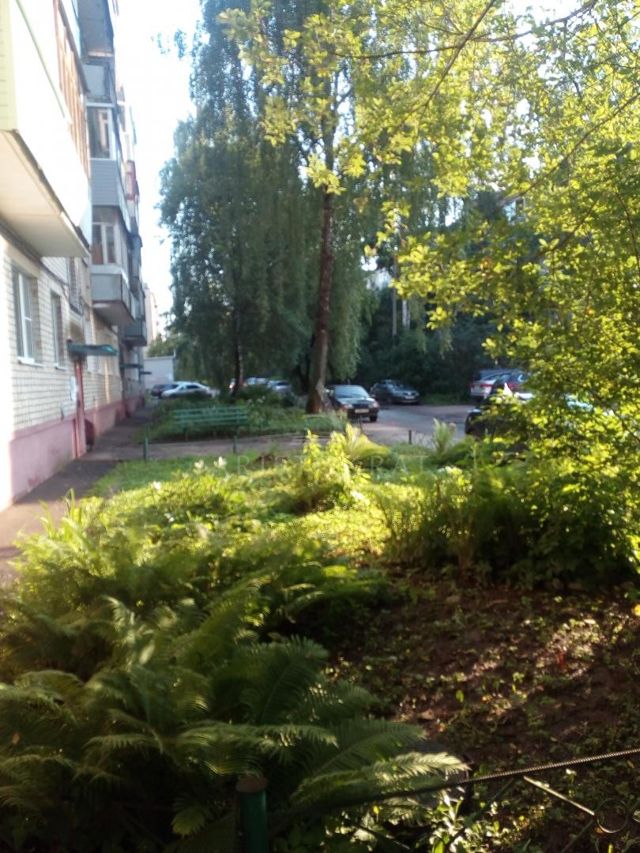 Territory