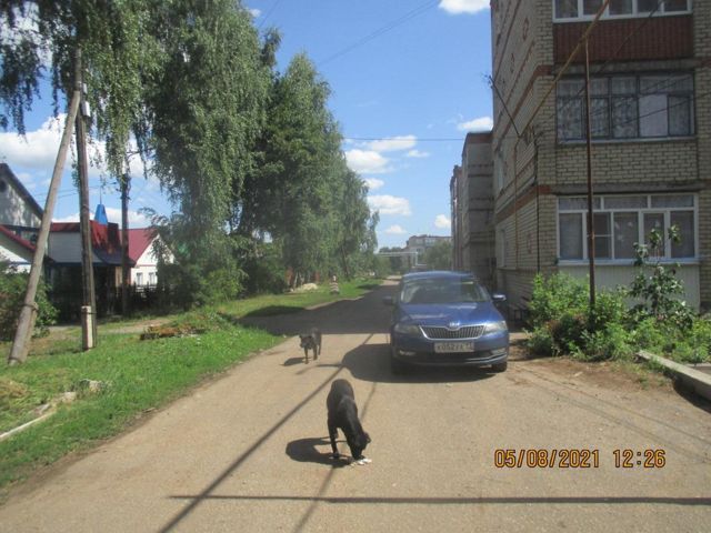 Territory