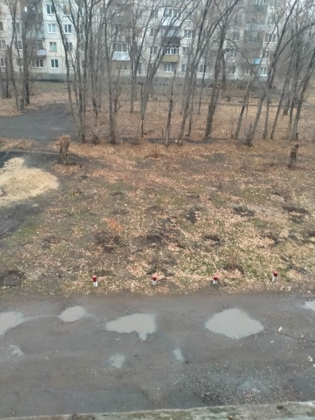 Territory