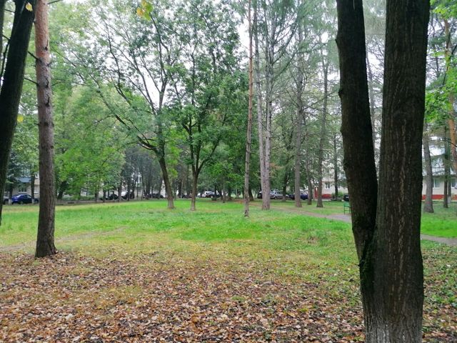 Territory