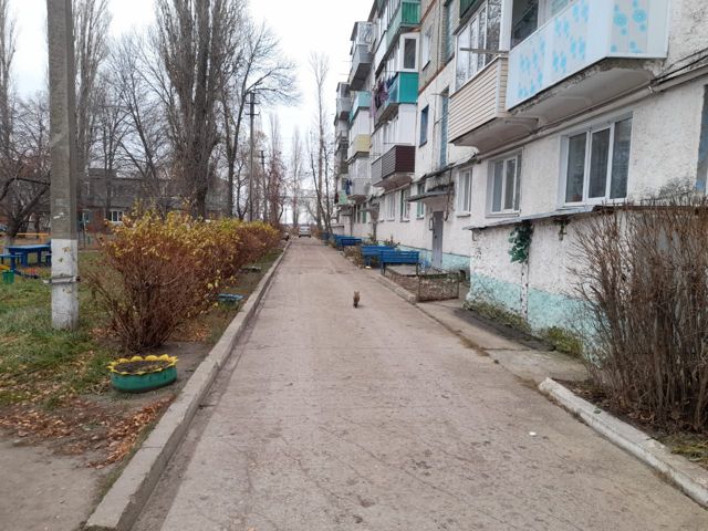 Territory
