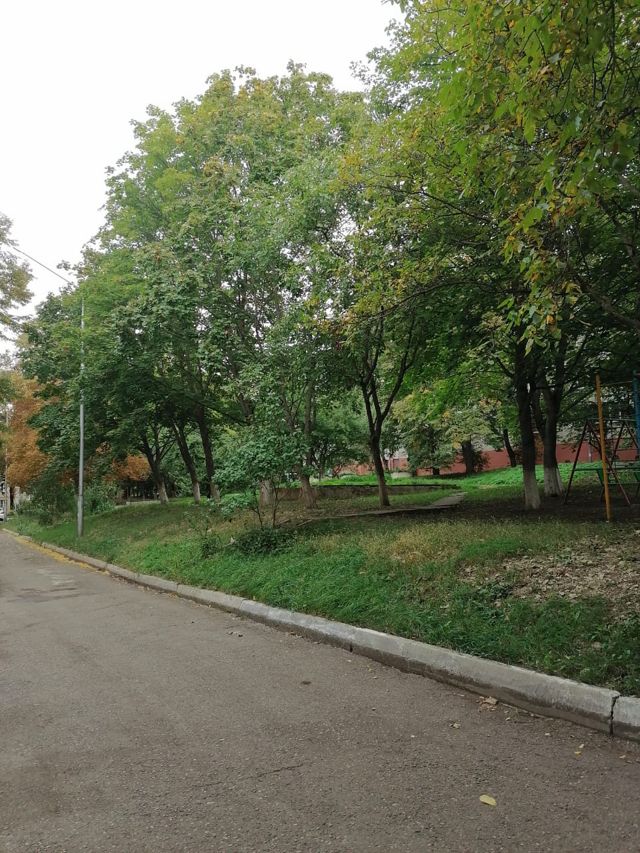Territory