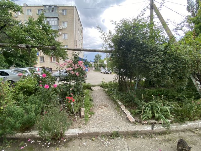 Territory