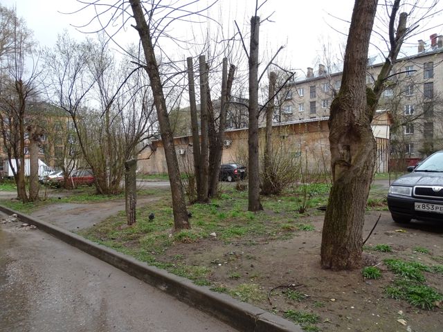 Territory