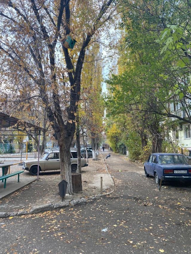 Territory
