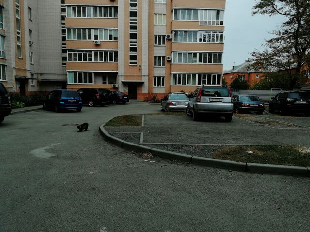 Territory