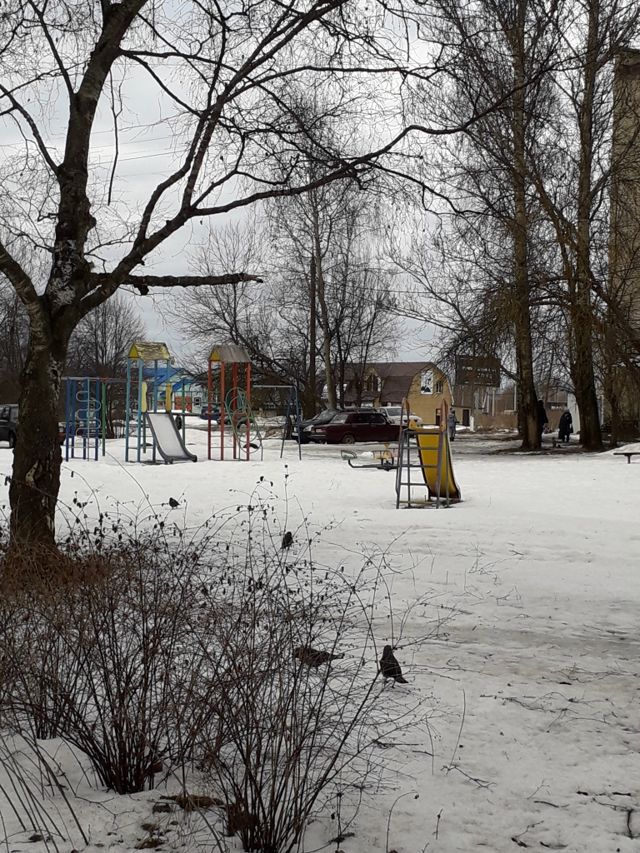 Territory