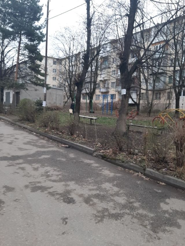 Territory