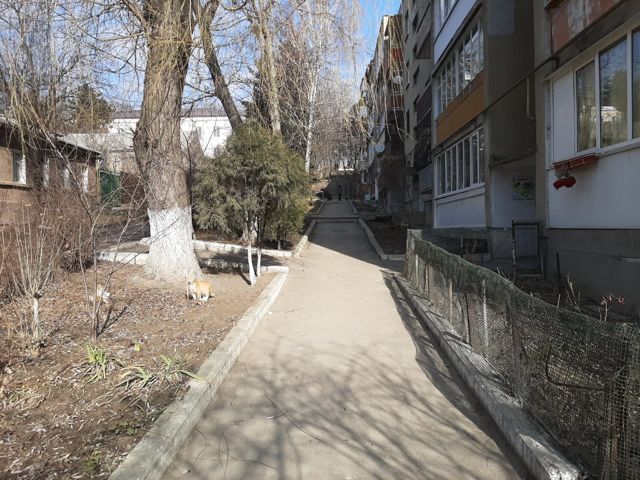 Territory