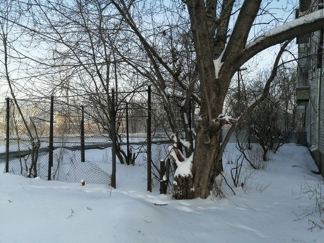 Territory