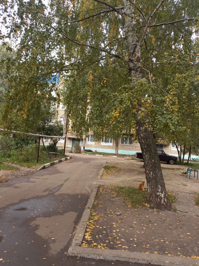 Territory
