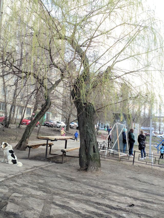 Territory
