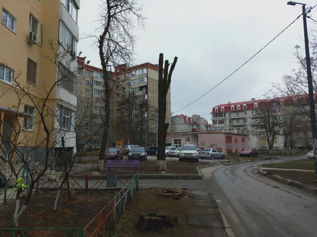 Territory