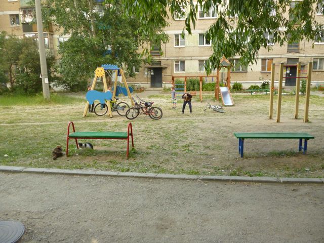 Territory