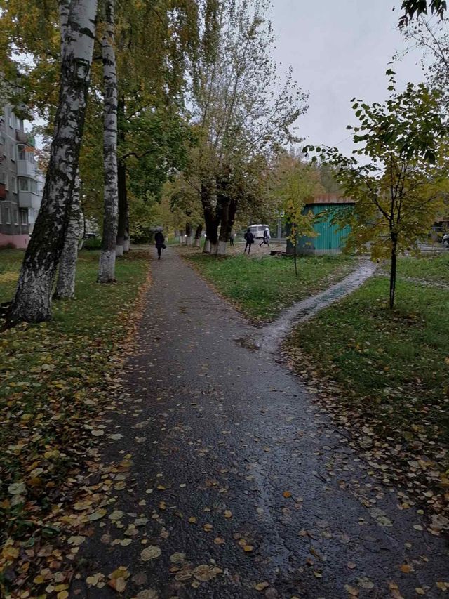 Territory